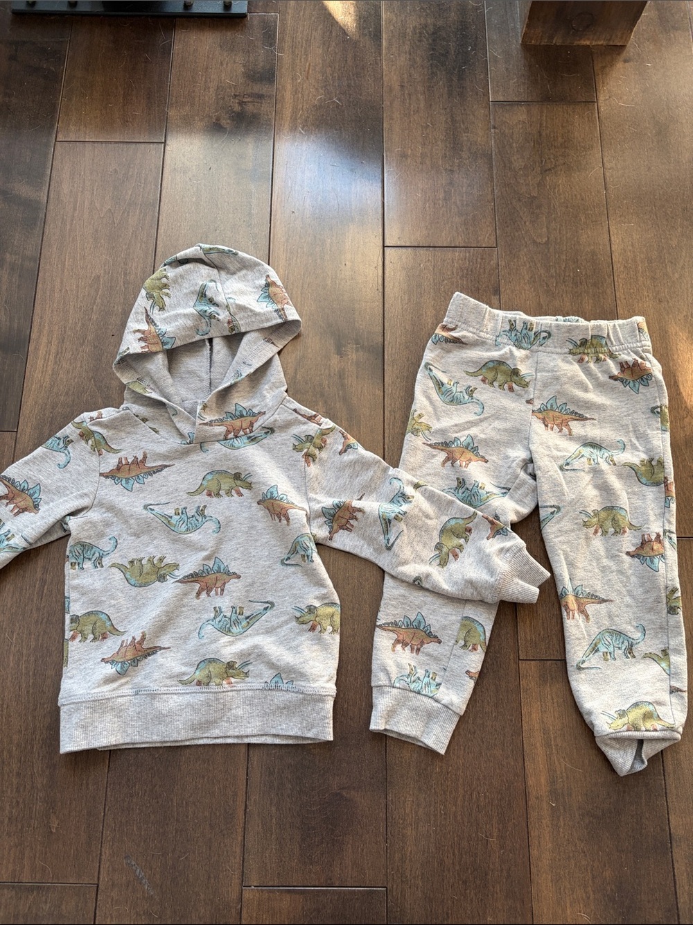 Carter's Gray Dinosaur Sweatshirt & Joggers Set